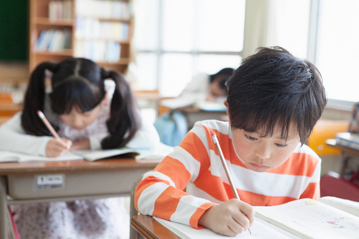 【日本の学校体系】学校の分類を教育段階や学校教育法、設置者などで再確認！一条校や専修学校、その他学校、無認可校の概要も徹底解説