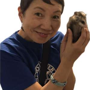 ラボ・パーティ 横須賀久里浜教室